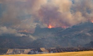 Read more about the article Karte zeigt, wo Feuer den Urlaub gefährden könnten