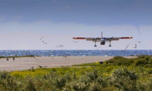 Read more about the article Auf diese neuen Attraktionen kannst du dich freuen