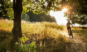 Read more about the article ADAC bietet jetzt auch Pannenhilfe für das Fahrrad